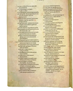 Codex Amiatinus, 1 Chronicles 25 (canvas 564) by Master of the Codex Amiatinus (Monkwearmouth-Jarrow scriptorium)