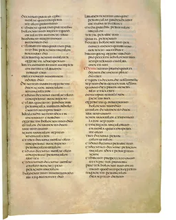Codex Amiatinus, Deuteronomy 22 (canvas 273) by Master of the Codex Amiatinus (Monkwearmouth-Jarrow scriptorium)