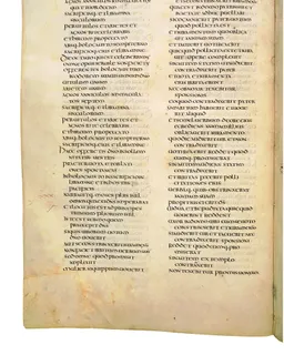 Codex Amiatinus, Deuteronomy 24 (canvas 276) by Master of the Codex Amiatinus (Monkwearmouth-Jarrow scriptorium)