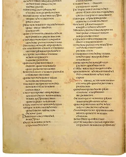 Codex Amiatinus, Exodus 8 (canvas 92) by Master of the Codex Amiatinus (Monkwearmouth-Jarrow scriptorium)