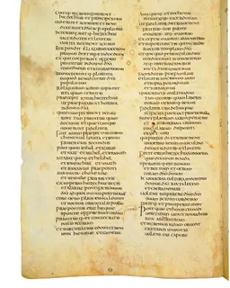 Codex Amiatinus, Job 13 (canvas 744) by Master of the Codex Amiatinus (Monkwearmouth-Jarrow scriptorium)