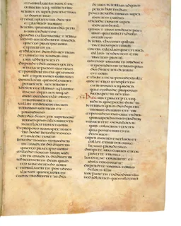 Codex Amiatinus, Joshua 11 (canvas 309) by Master of the Codex Amiatinus (Monkwearmouth-Jarrow scriptorium)