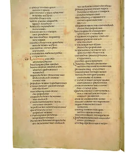 Codex Amiatinus, Numbers 12 (canvas 202) by Master of the Codex Amiatinus (Monkwearmouth-Jarrow scriptorium)