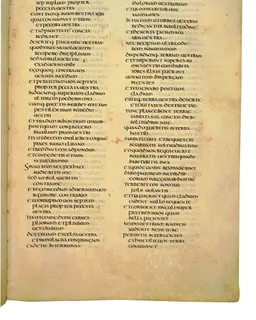 Codex Amiatinus, Numbers 20 (canvas 215) by Master of the Codex Amiatinus (Monkwearmouth-Jarrow scriptorium)