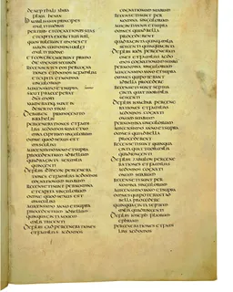 Codex Amiatinus, Numbers 24 (canvas 221) by Master of the Codex Amiatinus (Monkwearmouth-Jarrow scriptorium)