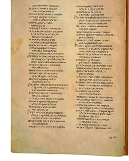 Codex Amiatinus, Numbers 25 (canvas 222) by Master of the Codex Amiatinus (Monkwearmouth-Jarrow scriptorium)