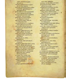 Codex Amiatinus, Numbers 26 (canvas 224) by Master of the Codex Amiatinus (Monkwearmouth-Jarrow scriptorium)