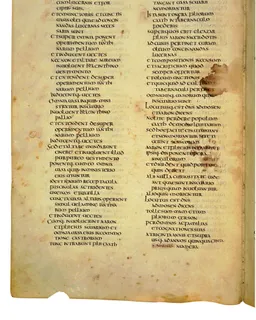Codex Amiatinus, Numbers 29 (canvas 228) by Master of the Codex Amiatinus (Monkwearmouth-Jarrow scriptorium)