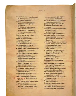 Codex Amiatinus, Numbers 30 (canvas 230) by Master of the Codex Amiatinus (Monkwearmouth-Jarrow scriptorium)