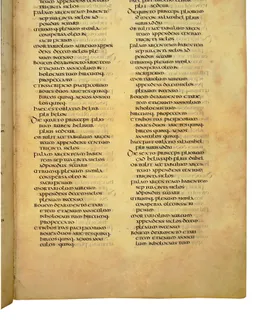 Codex Amiatinus, Numbers 33 (canvas 235) by Master of the Codex Amiatinus (Monkwearmouth-Jarrow scriptorium)