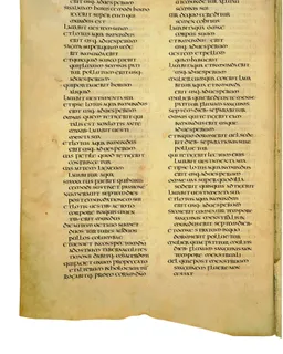 Codex Amiatinus, Numbers 7 (canvas 194) by Master of the Codex Amiatinus (Monkwearmouth-Jarrow scriptorium)