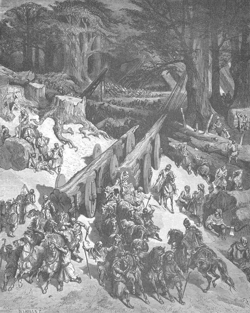 Cedars Are Cut Down for the Jerusalem Temple