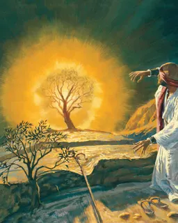 Moses and the Burning Bushes by Jerry Thompson