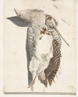 Two Dead Birds (A Quail and a Long-Beaked Bird) by Count Giorgio Durante (Duranti)