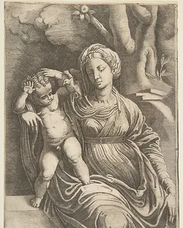 Virgin and Child seated beneath a tree by Giulio Bonasone