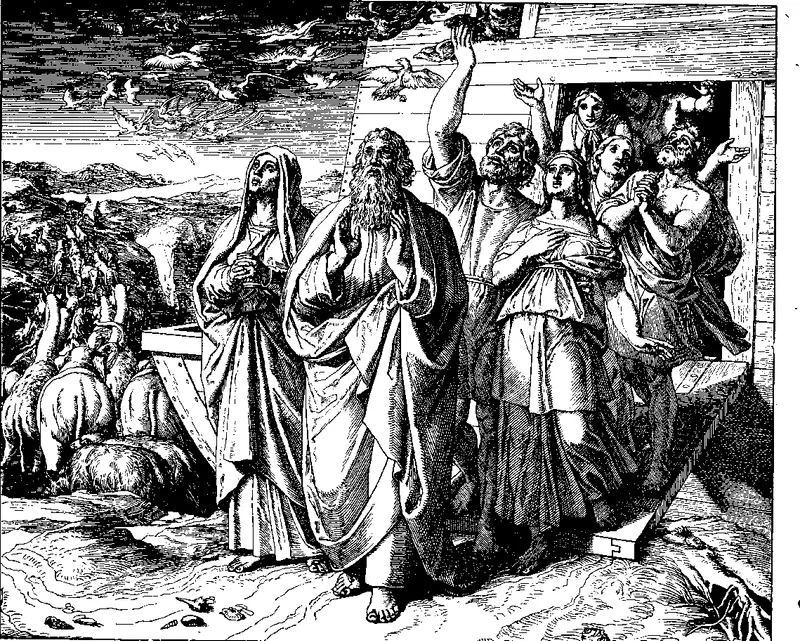 Coming Out of the Ark