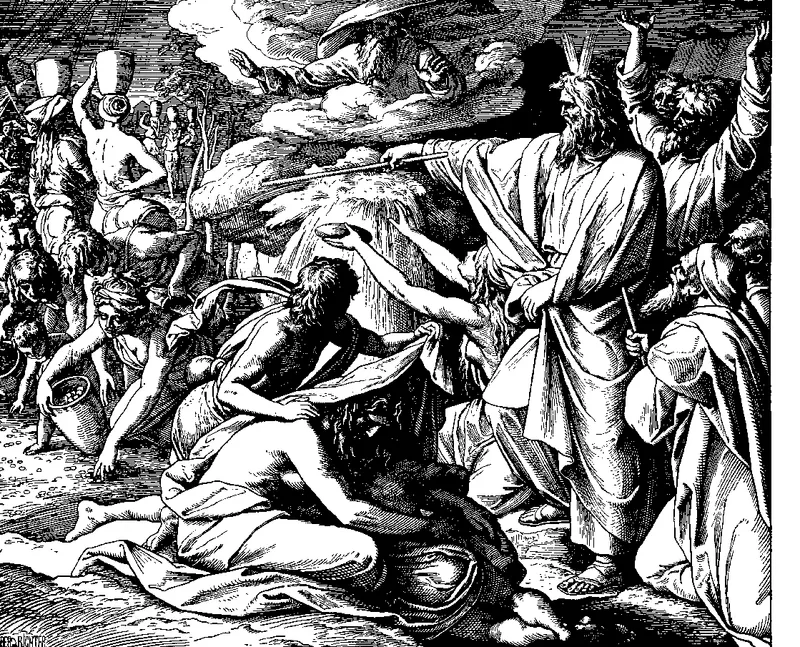 Manna in the Wilderness
