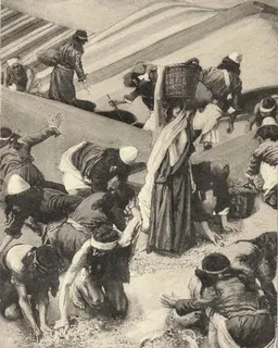 The Gathering of the Manna by James Tissot