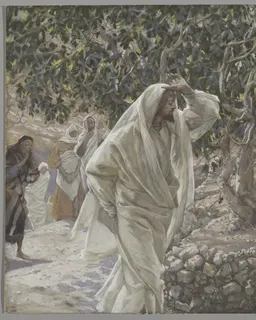 The Accursed Fig Tree by James Tissot